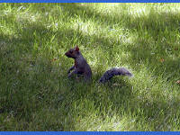 Click for larger image.