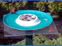 Click for larger image.