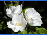 Click for larger image.