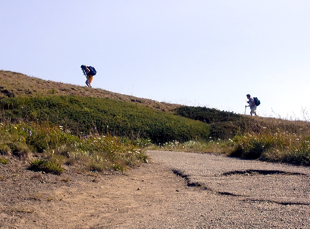 01-Aug-2000
Olympic National Park, WA
Hikers on the High Ridge Trail