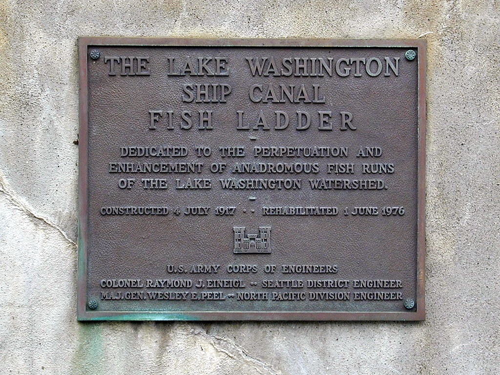 28-Jul-2000
Seattle
Chittenden Locks - Fish Ladder