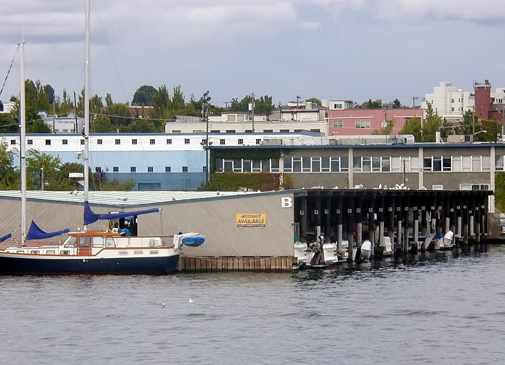 28-Jul-2000
Seattle - Lake Washington Ship Canal
Seagulls on roof of marina