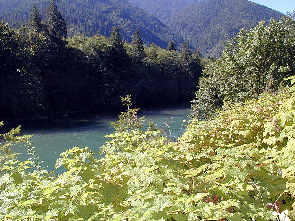 29-Jul-2000
US2 near Newhalem, WA
The Skagit River