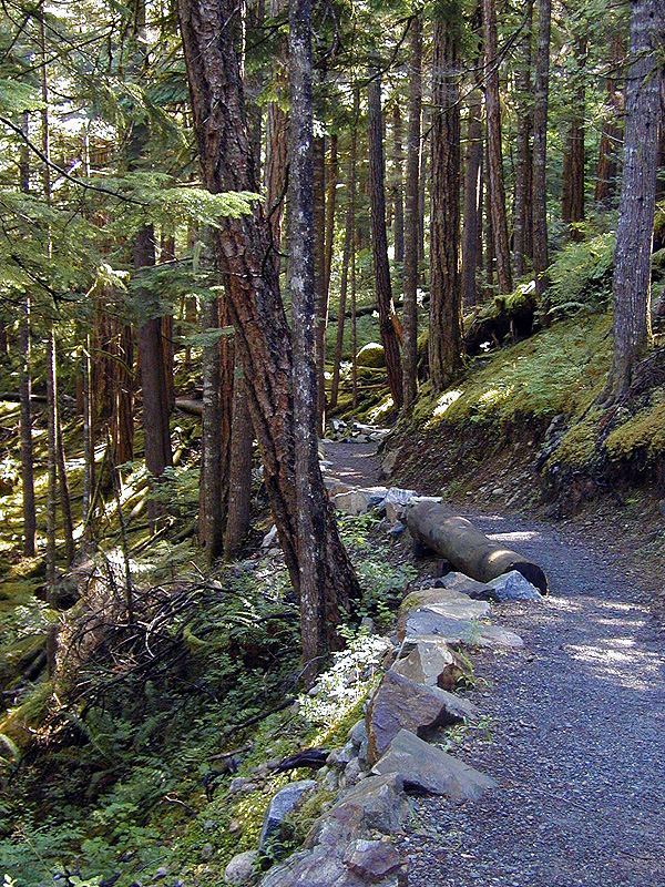 29-Jul-2000
Newhalem, WA
River Loop Trail