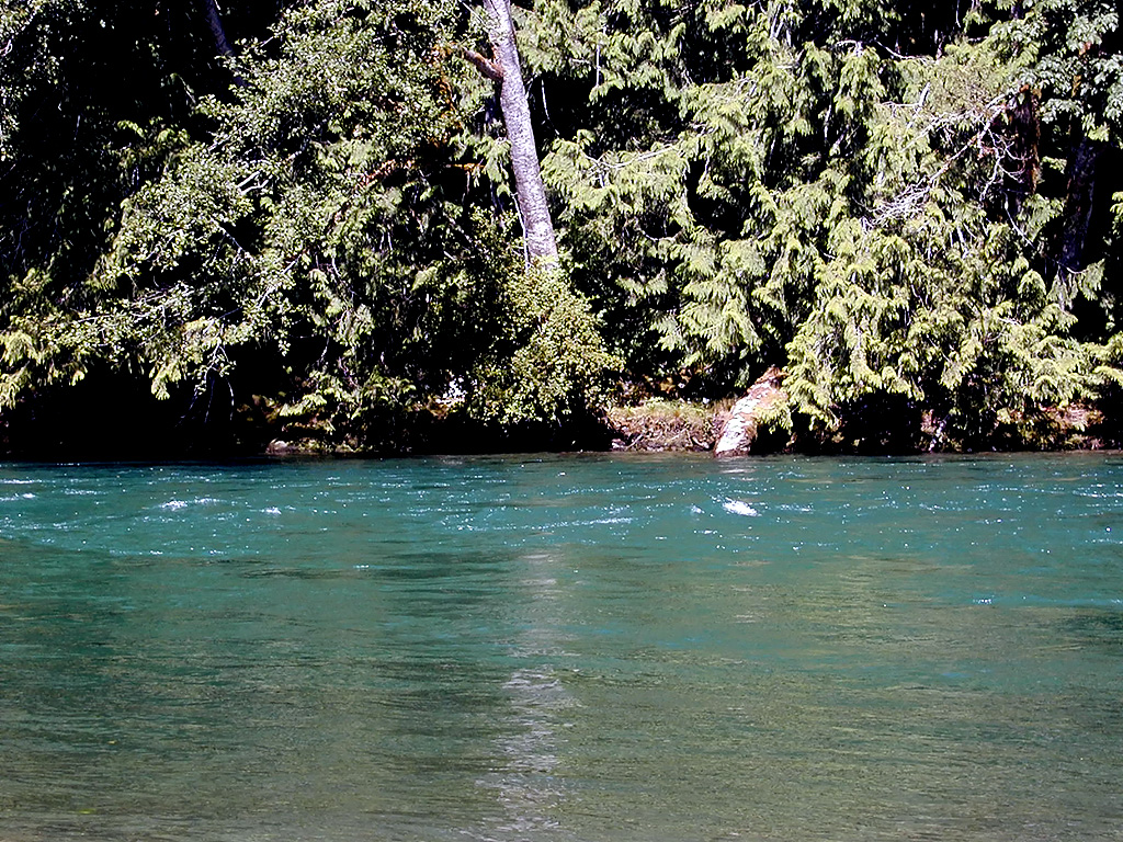 29-Jul-2000
Newhalem, WA
River Loop Trail - Skagit River