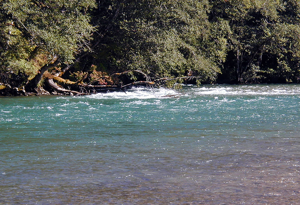 29-Jul-2000
Newhalem, WA
River Loop Trail - Skagit River