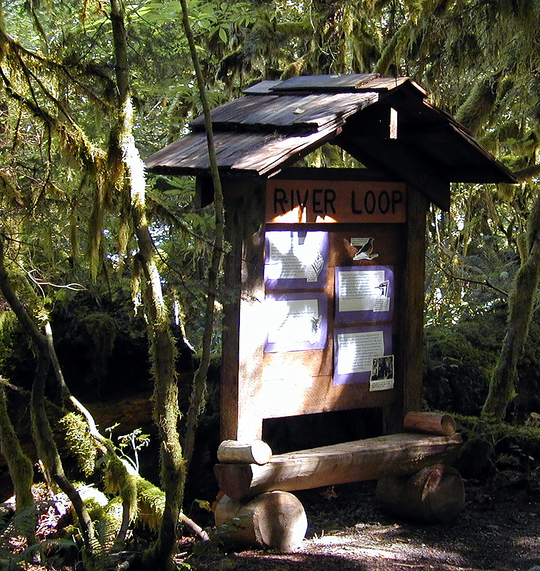 29-Jul-2000
Newhalem, WA
River Loop Trail 