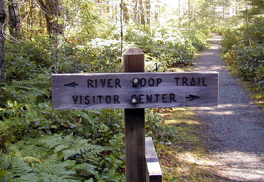 29-Jul-2000
Newhalem, WA
River Loop Trail - Trail Marker