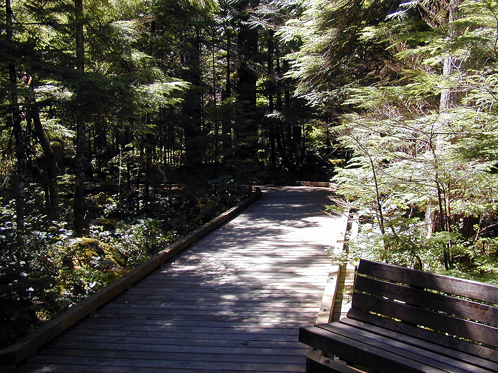 29-Jul-2000
Newhalem, WA
Sterling Munro boardwalk to scenic overlook