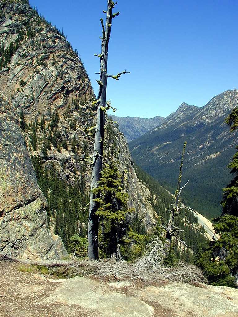 29-Jul-2000
Washington Pass, WA
View from Washington Pass Overlook