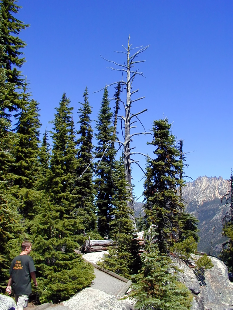 29-Jul-2000
Washington Pass, WA
Washington Pass Overlook