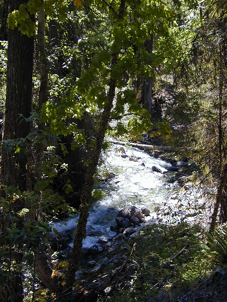 30-Jul-2000
Stehekin, WA
Rainbow Falls