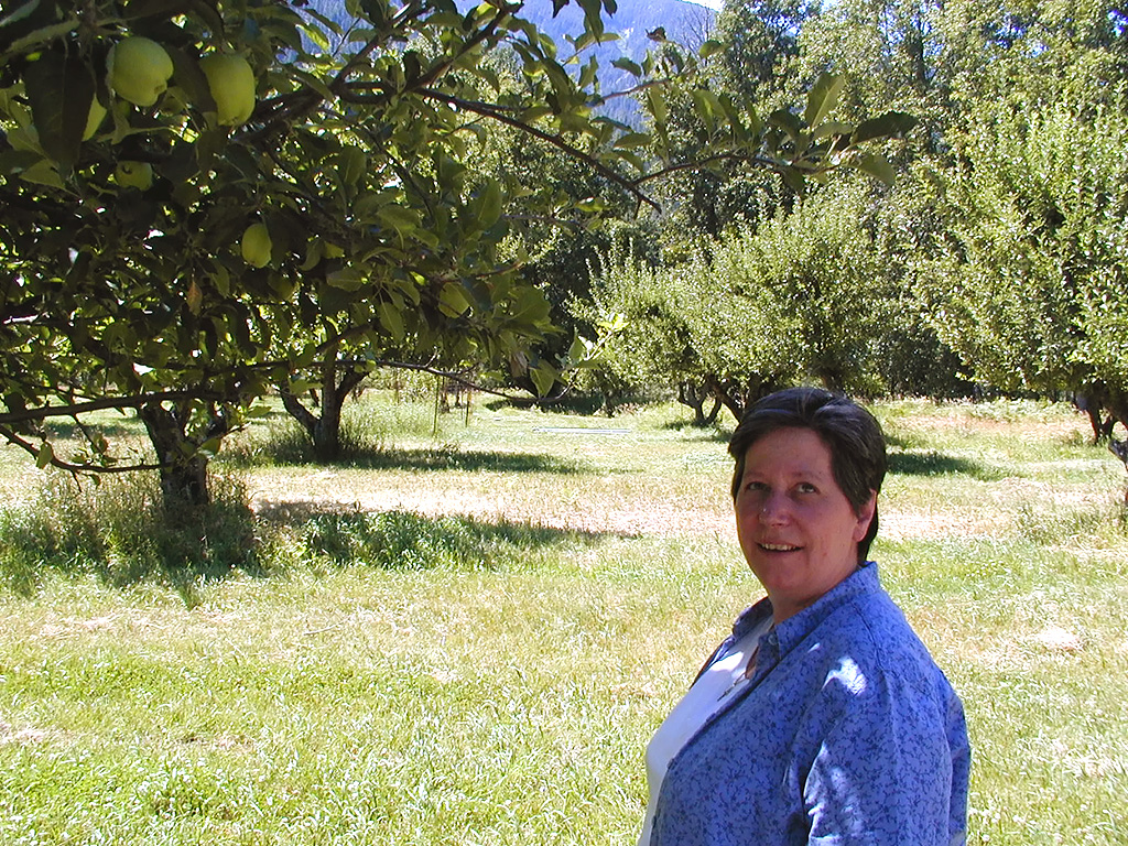 30-Jul-2000
Stehekin, WA
Sue at Buckner's Orchard