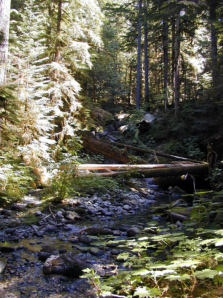 31-Jul-2000
Deception Falls, WA
Almost dry side-channel of falls