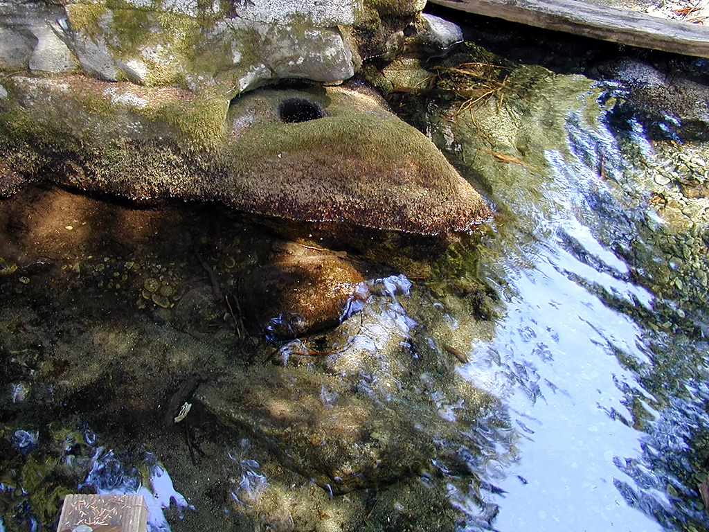 31-Jul-2000
Deception Falls, WA
Moss covered rocks