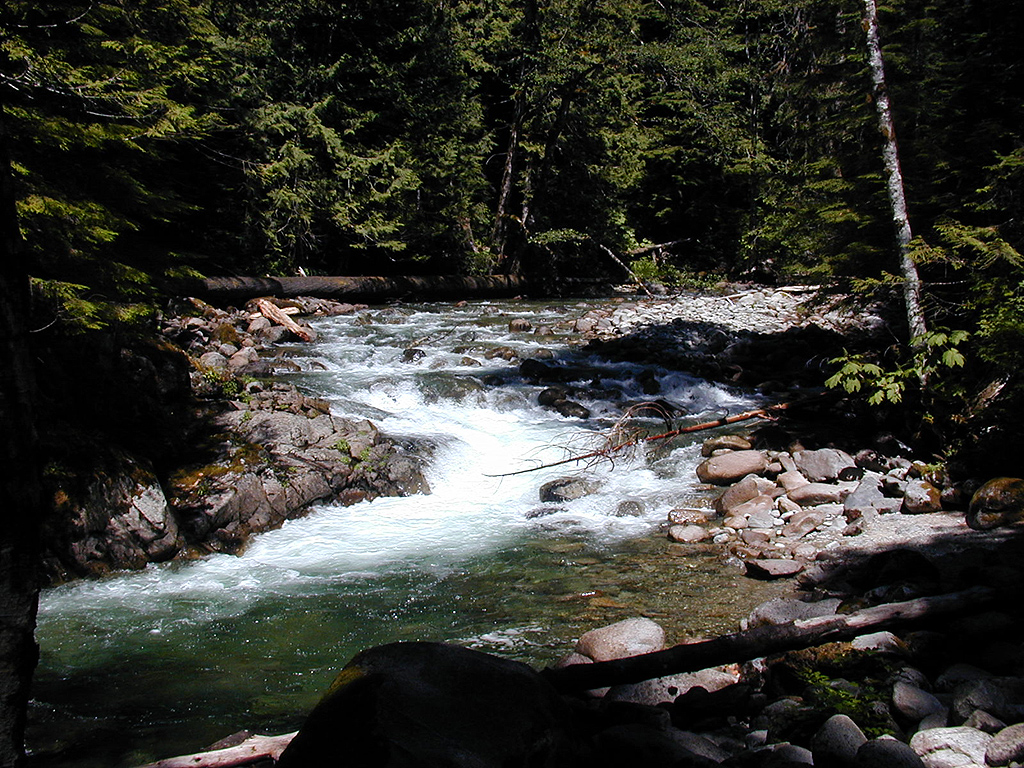 31-Jul-2000
Deception Falls, WA
Rapids