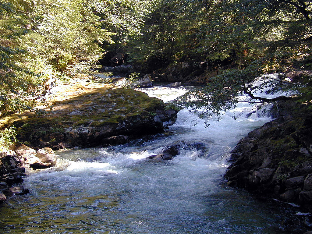 31-Jul-2000
Deception Falls, WA
Rapids