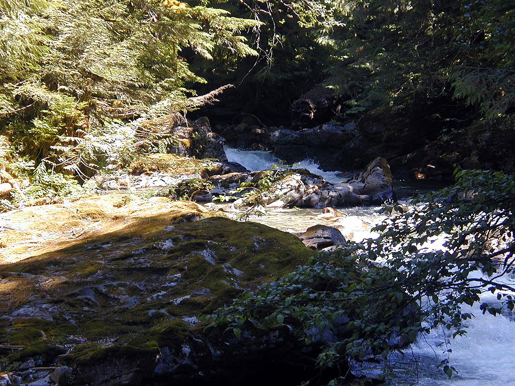31-Jul-2000
Deception Falls, WA
Rapids