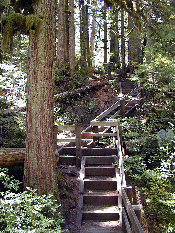 31-Jul-2000
Deception Falls, WA
Steps in the footpath
