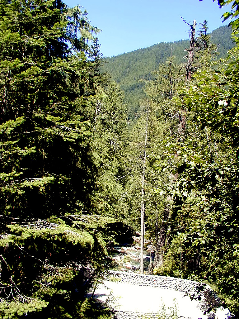 31-Jul-2000
Deception Falls, WA
Looking down stream