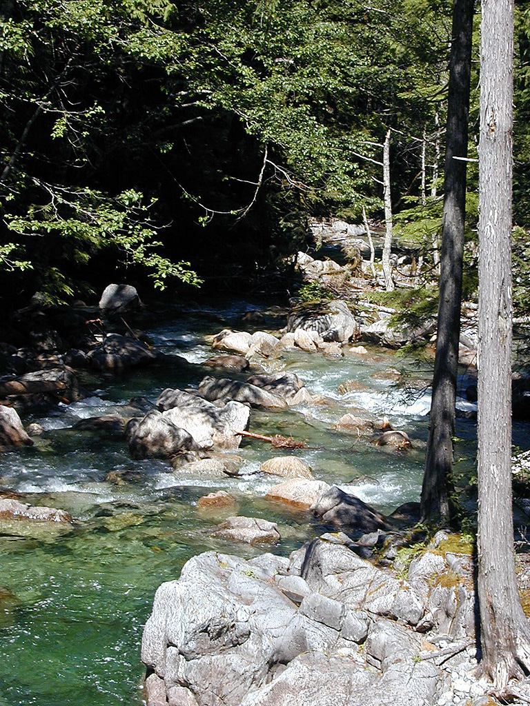 31-Jul-2000
Deception Falls, WA
Rapids