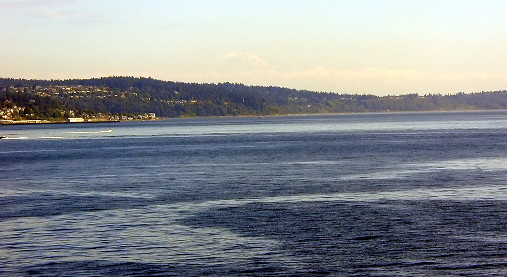 31-Jul-2000
Edmonds, WA
Mount Rainier in the distance