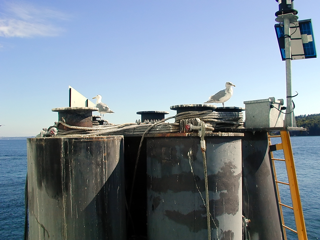 31-Jul-2000
Kingston, WA
Seagulls on the dock at Kingston