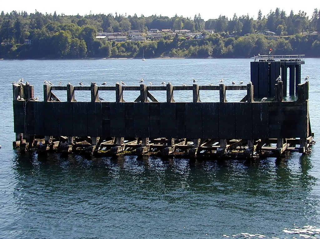 31-Jul-2000
Kingston, WA
Seagulls on the dock at Kingston