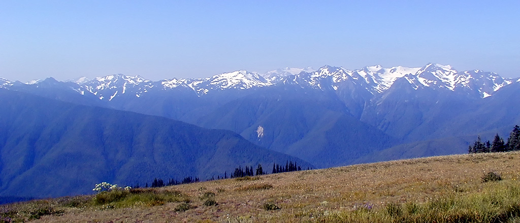 01-Aug-2000
Olympic National Park, WA
The Olympic Mountains from Hurricane Ridge