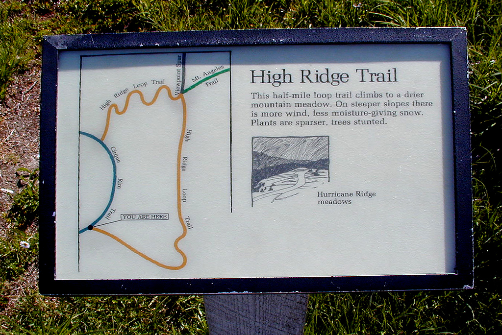 01-Aug-2000
Olympic National Park, WA
High Ridge Trail Map