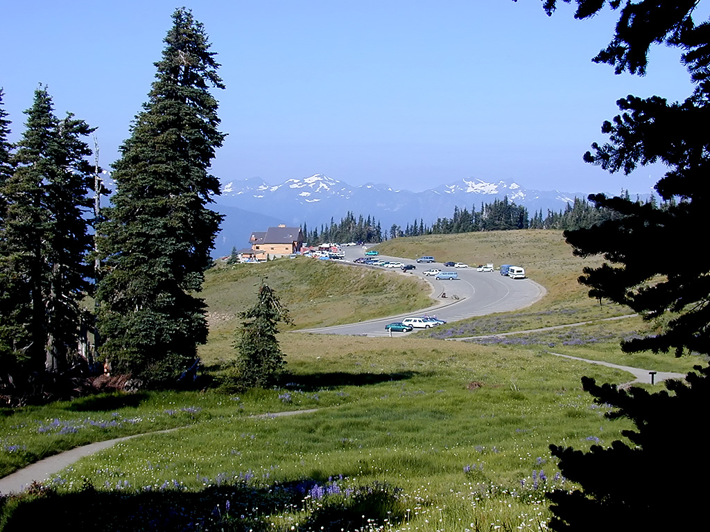 01-Aug-2000
Olympic National Park, WA
Looking down on the Hurricane Ridge lodge