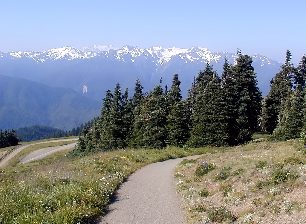 01-Aug-2000
Olympic National Park, WA
The High Ridge Trail and Mt. Olympus range