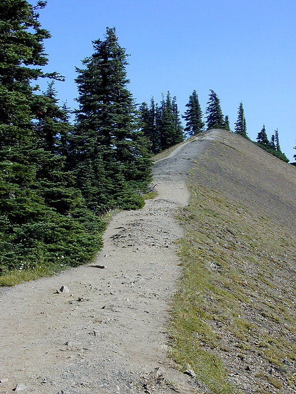 01-Aug-2000
Olympic National Park, WA
The trail to sun-up point