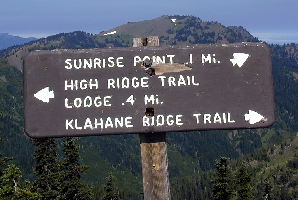 01-Aug-2000
Olympic National Park, WA
Trail marker
High Ridge trail was only supposed to be .5 mile, so the distance back from the mid-way point suggests a problem somewhere