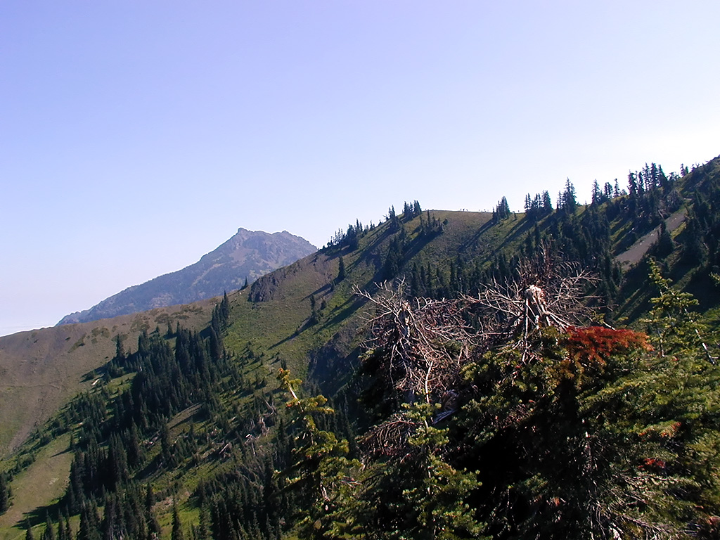 01-Aug-2000
Olympic National Park, WA
Summer camp kids approaching Sun-Up Point