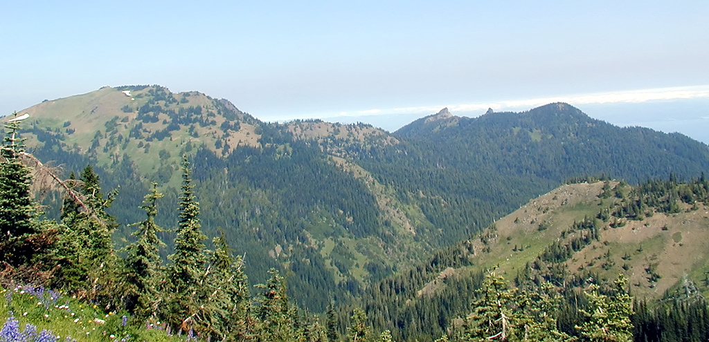 01-Aug-2000
Olympic National Park, WA
View from High Ridge Trail