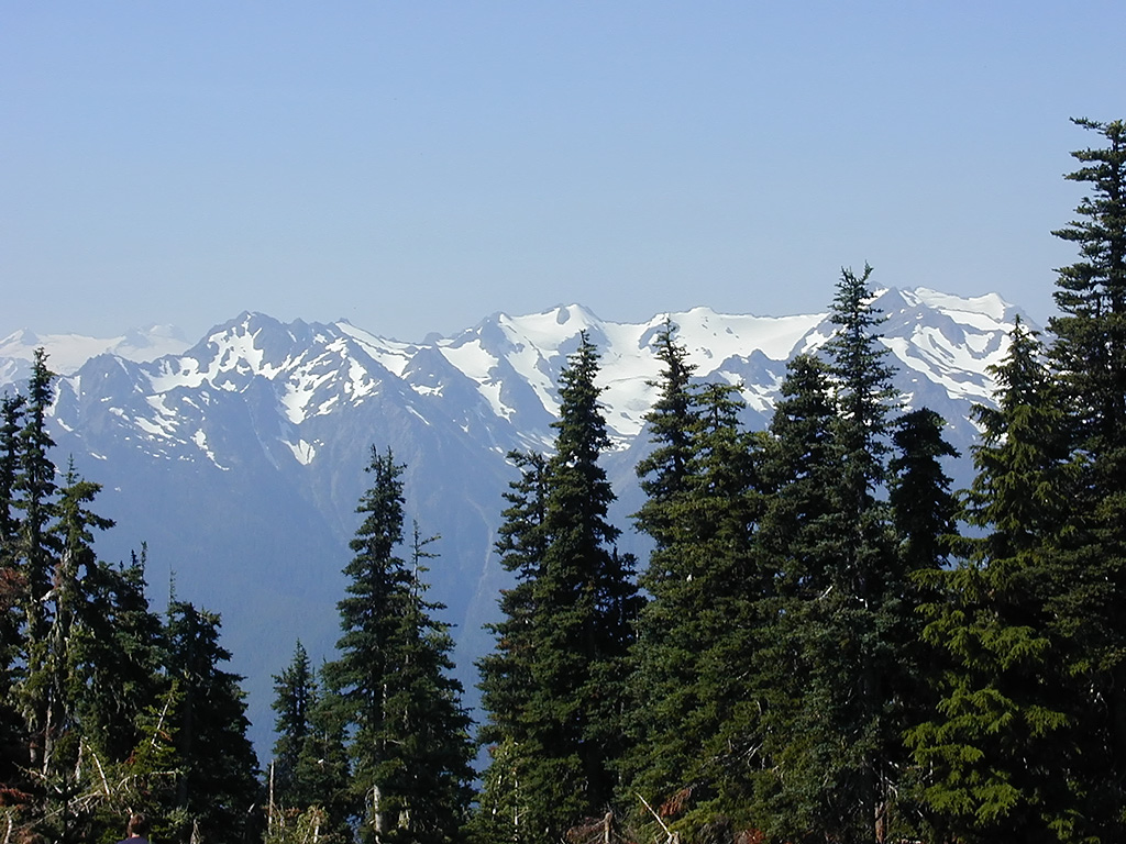 01-Aug-2000
Olympic National Park, WA
Mt. Olympus range through the trees