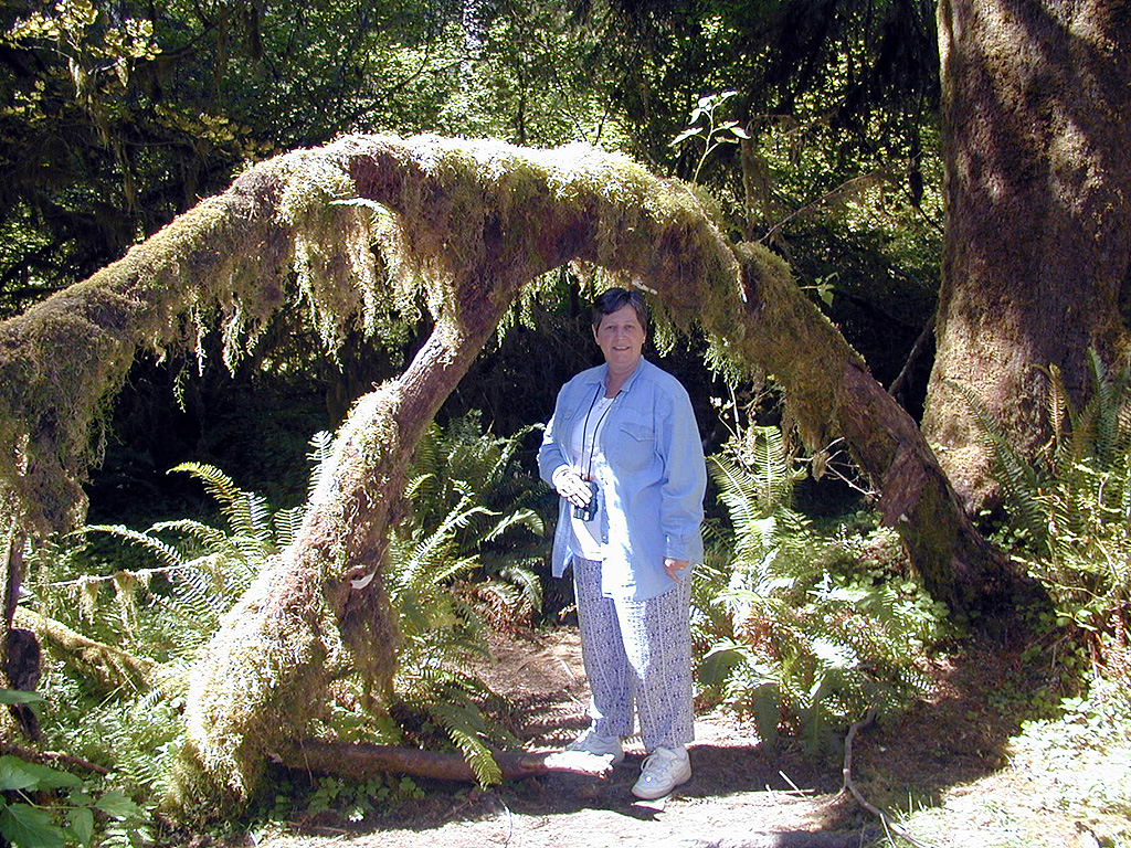 01-Aug-2000
Olympic National Park, WA
Hoh Rainforest - Sue under a branch draped with lichens