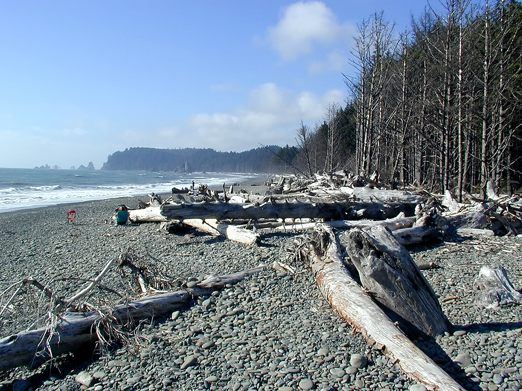 01-Aug-2000
Olympic National Park, WA
Rialto Beach - Tree trunks scattered on the pebbles