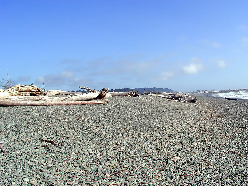01-Aug-2000
Olympic National Park, WA
Rialto Beach - Tree trunks scattered on the pebbles