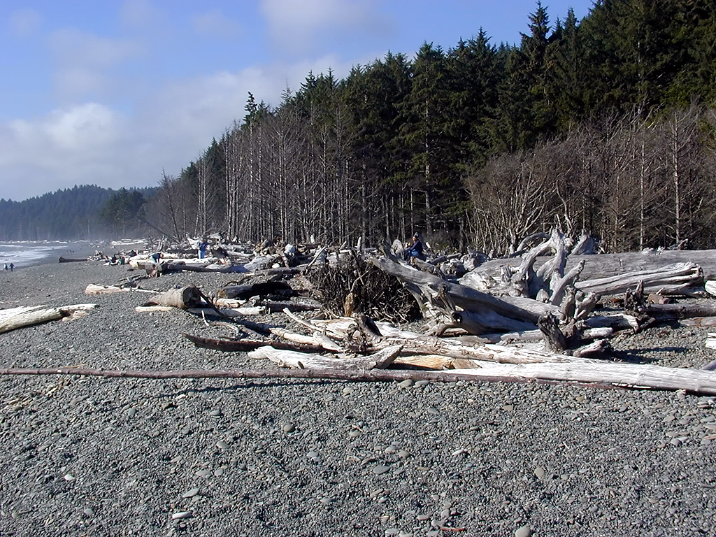 01-Aug-2000
Olympic National Park, WA
Rialto Beach - Logs on the beach