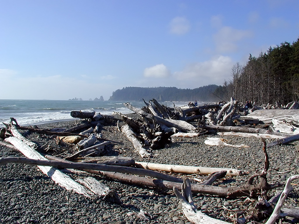 01-Aug-2000
Olympic National Park, WA
Rialto Beach - Logs on the beach