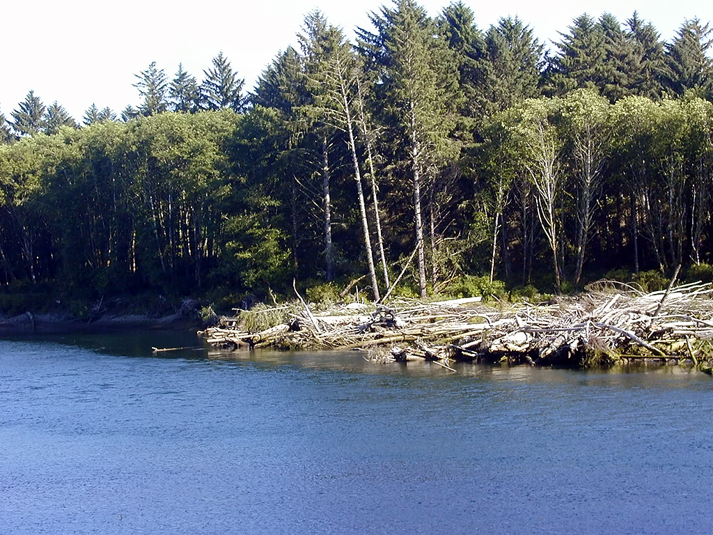01-Aug-2000
Olympic National Park, WA
Rialto Beach - Quillayute River