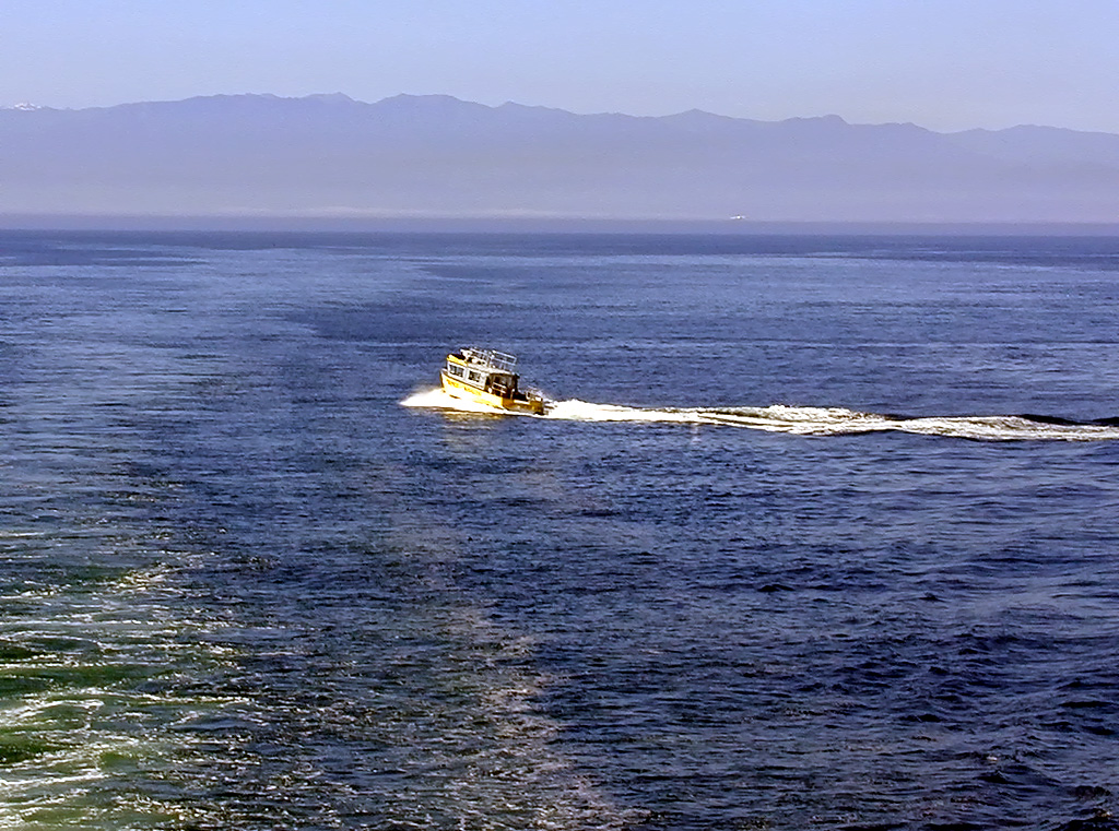 02-Aug-2000
Victoria, BC
Prince of Whales boat