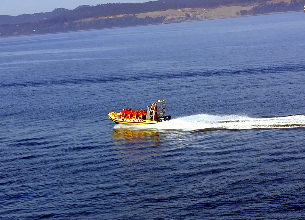 02-Aug-2000
Victoria, BC
Prince of Whales boat