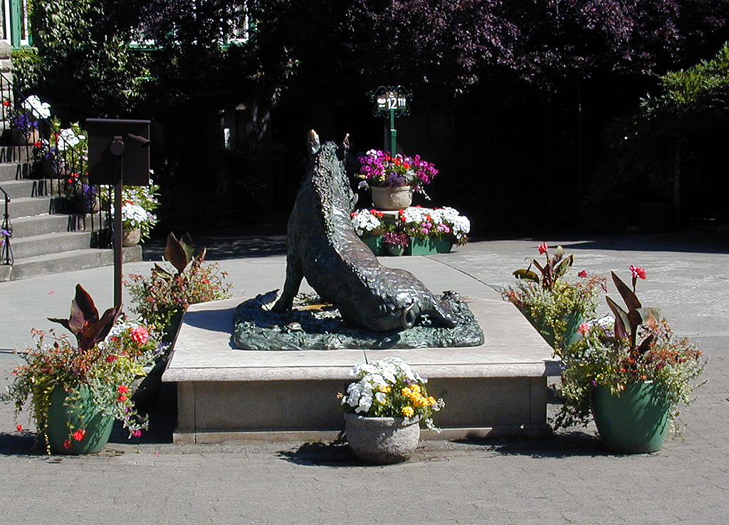 02-Aug-2000
Butchart Gardens - Victoria, BC 
Bronze staue of a wild boar