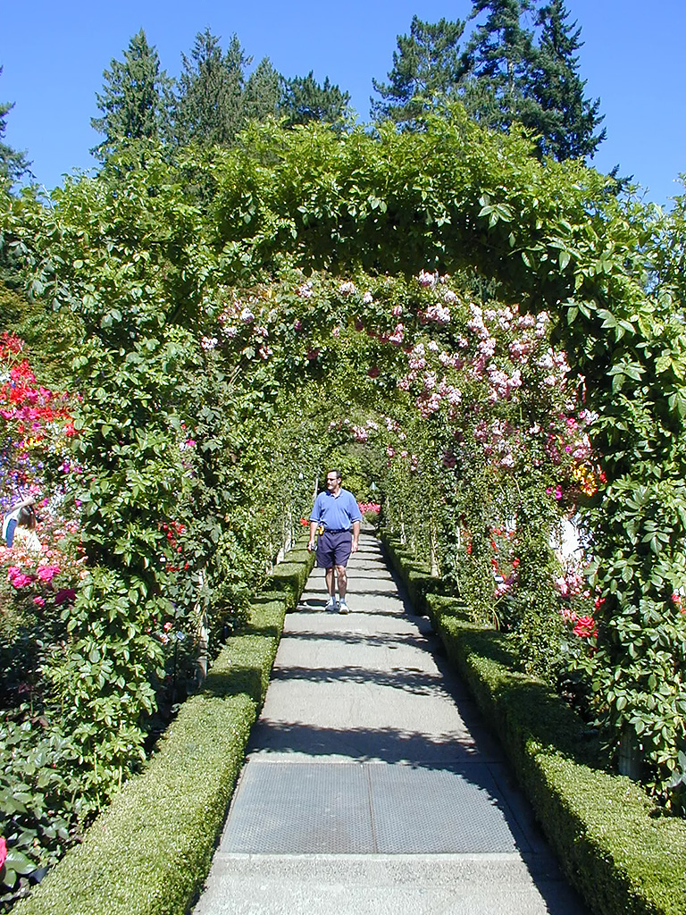 02-Aug-2000
Butchart Gardens - Victoria, BC 
Avenue of flowers in the rose garden