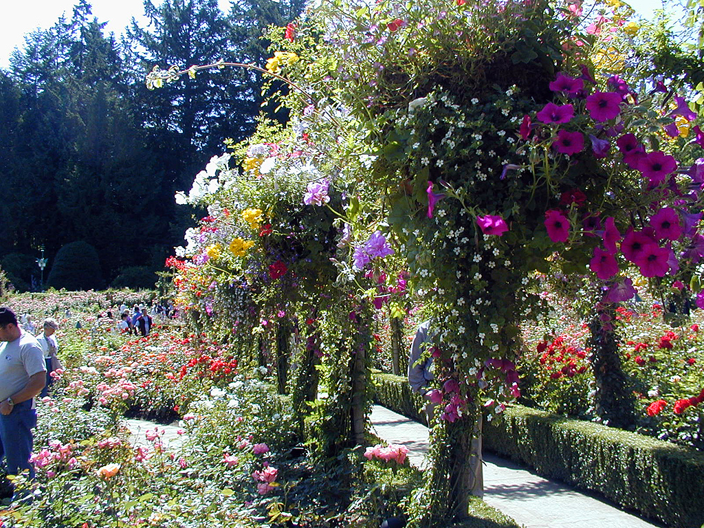 02-Aug-2000
Butchart Gardens - Victoria, BC 
Avenue of flowers in the rose garden