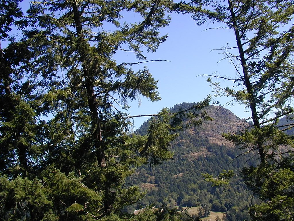 02-Aug-2000
Victoria, BC 
View from Pacific Wilderness Railway