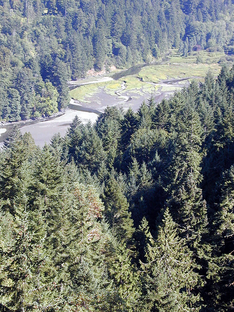 02-Aug-2000
Victoria, BC 
View towards Saanich inlet